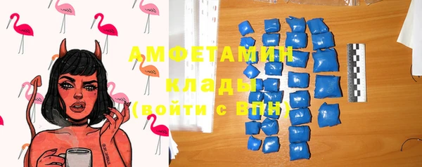 гашик Нея
