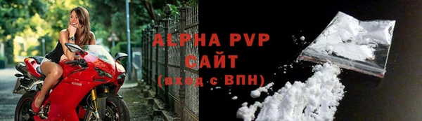 гашик Нея