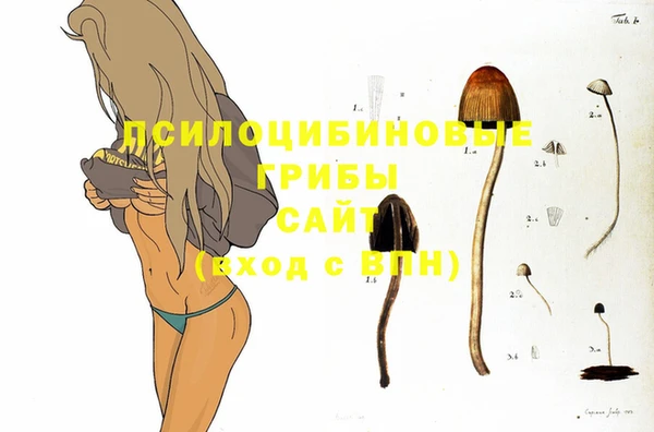 молекула духа Нефтегорск