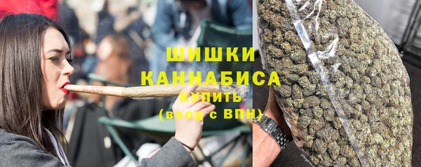 гашик Нея