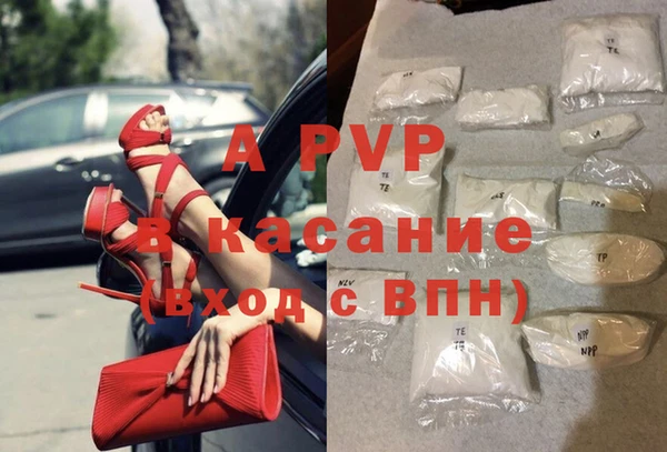 гашик Нея
