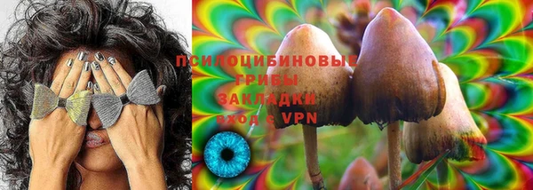 гашик Нея