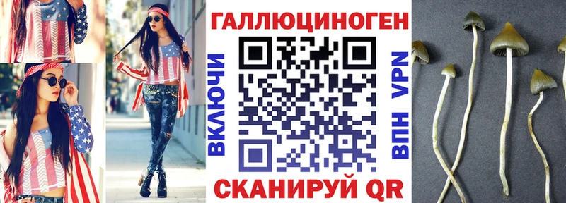 магазин    Краснообск  Галлюциногенные грибы мухоморы 